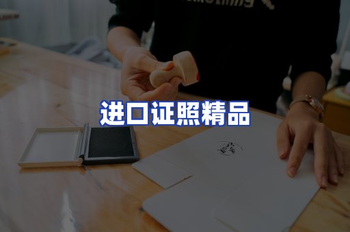 进口证件页面制证